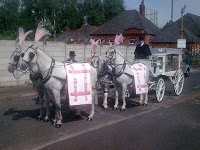 Horse drawn Carriage Hire   Disley 280895 Image 6